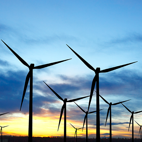 Planning for a sustainable world