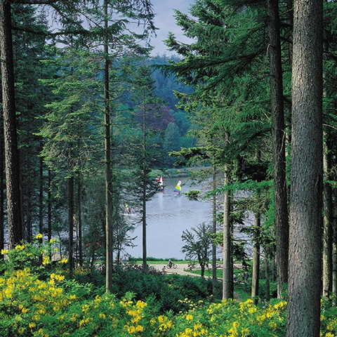 Center Parcs Reservoir Supervision