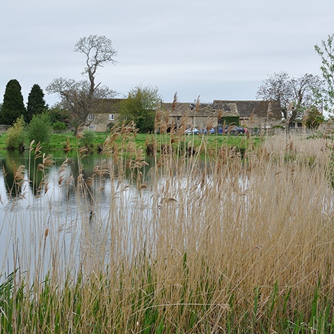 Down Ampney Estate, Cotswolds