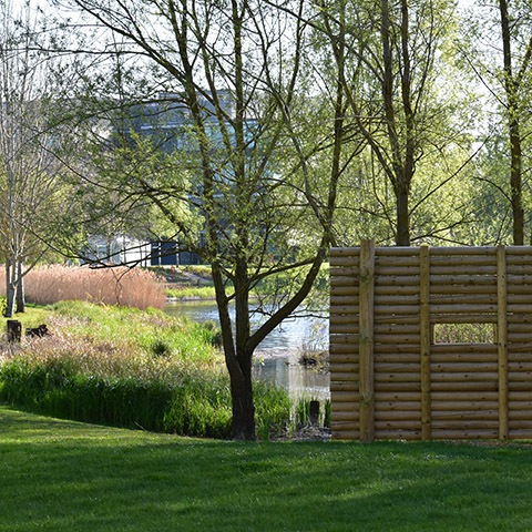 Green Park Biodiversity, Reading