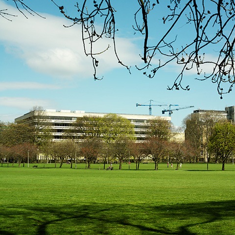 Main Library, University of Edinburgh