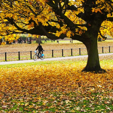 'A Transport Journey To A Healthier Life' Report