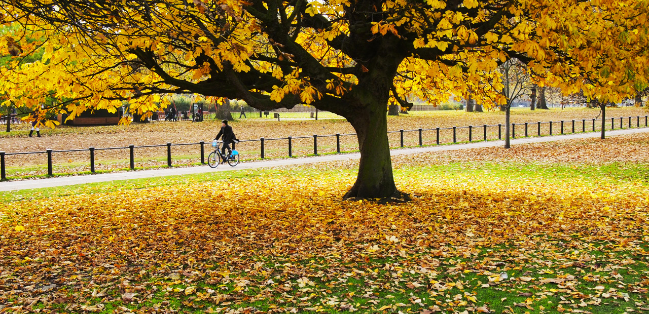 'A Transport Journey To A Healthier Life' Report