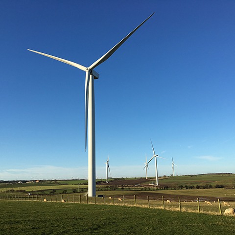 Red Gap Wind Farm, Hartlepool